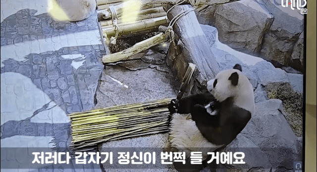 iULxqq.gif