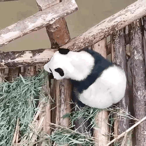 iUgxZK.gif