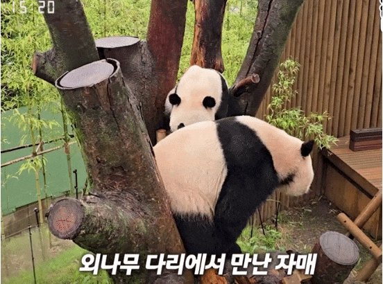 iYJqYi.gif