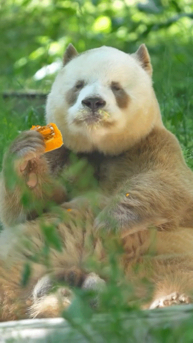 ibHrEP.gif