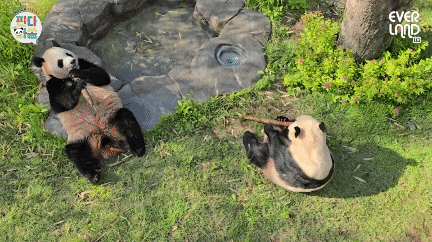 ihkwmf.gif