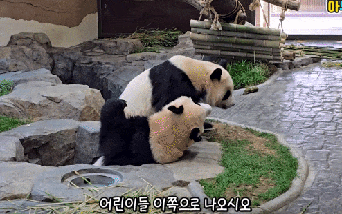 ilOAQr.gif