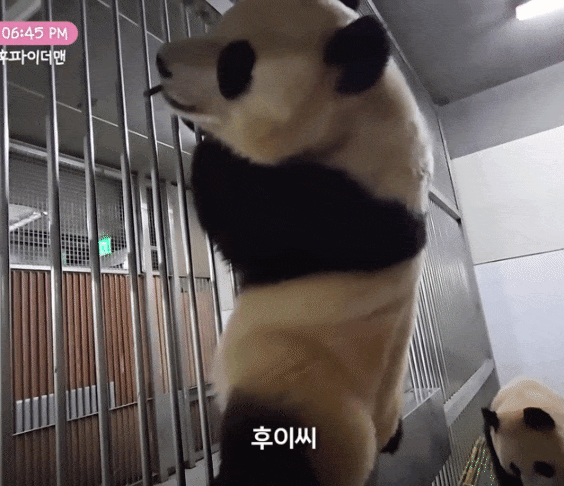 ipkONK.gif