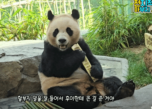 isqayk.gif