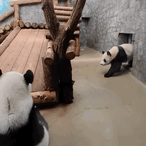 ivVFBr.gif