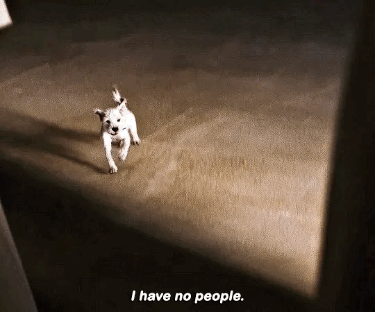 ivnrGO.gif