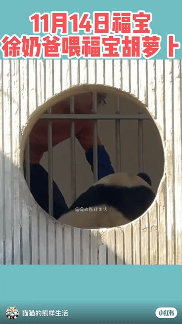 iwcquB.gif