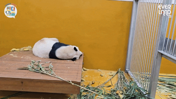 iycBNM.gif