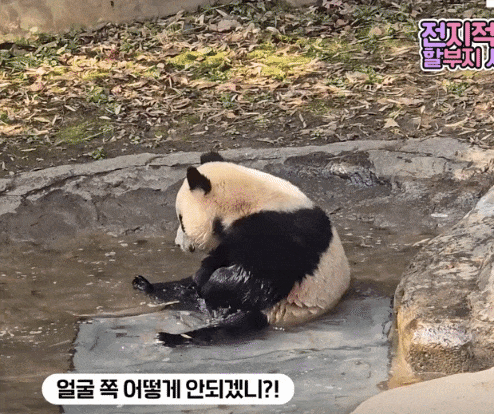 jAidMe.gif
