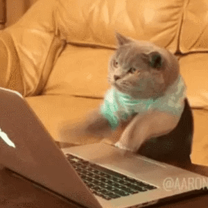 jCsvqN.gif