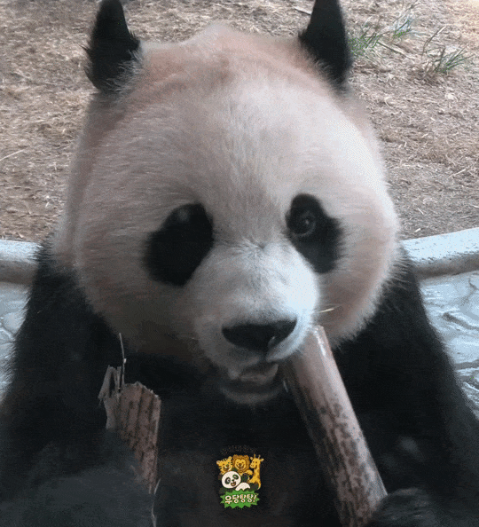 jKZwyx.gif