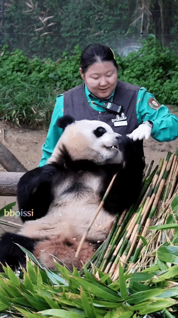 jVKDvE.gif