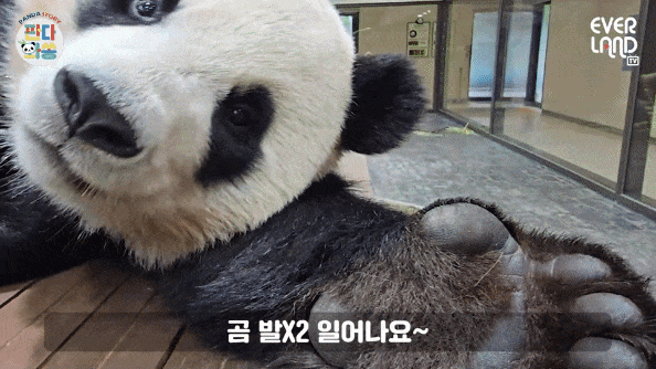 jYitQH.gif