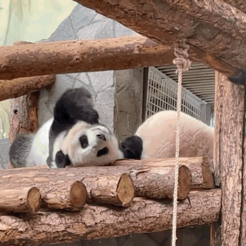 jaKiRh.gif