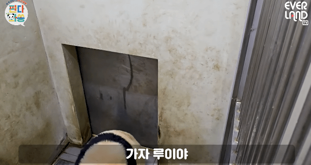 jaRpgL.gif