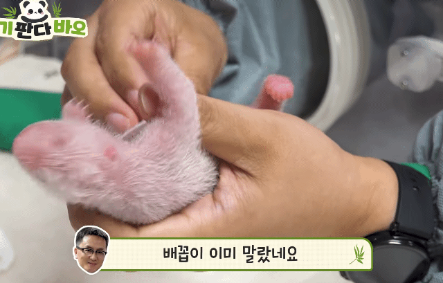 jeGEJG.gif