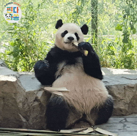 jhzinI.gif