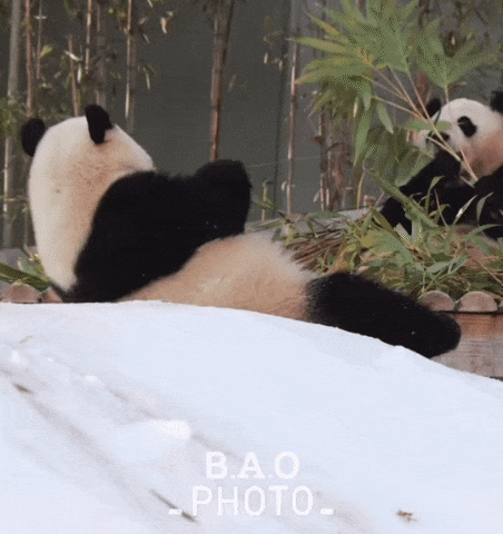 jouyHy.gif