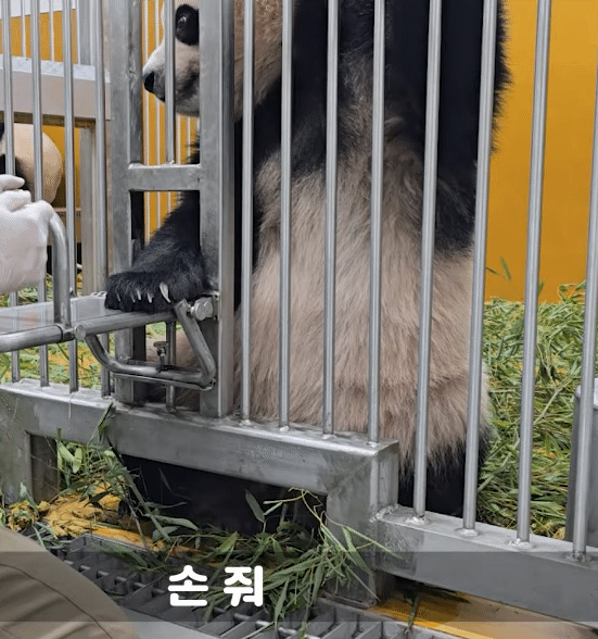 jskQBa.gif