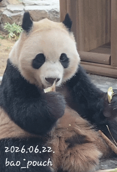 jvrzXB.gif