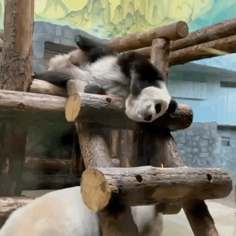 kAlhHB.gif