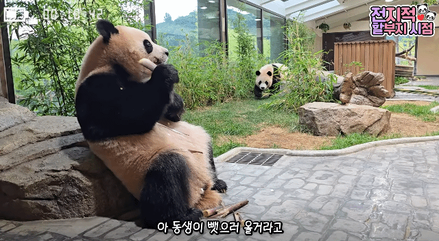 kGJZhp.gif