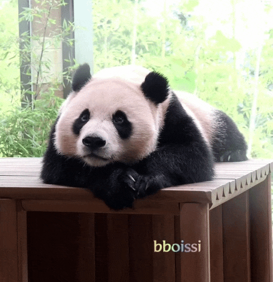 kIdbpI.gif