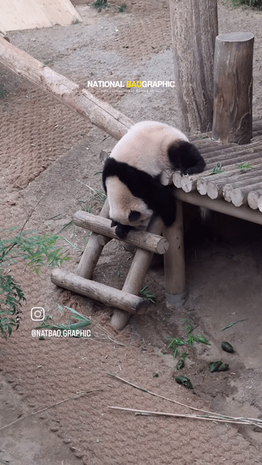 kKGqpx.gif