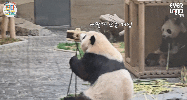 kKUprO.gif