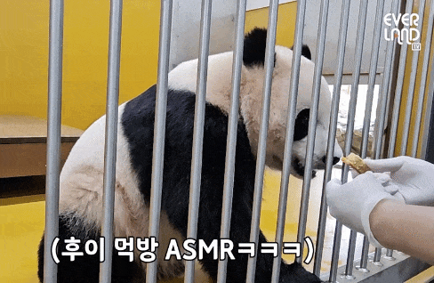 kLHfza.gif