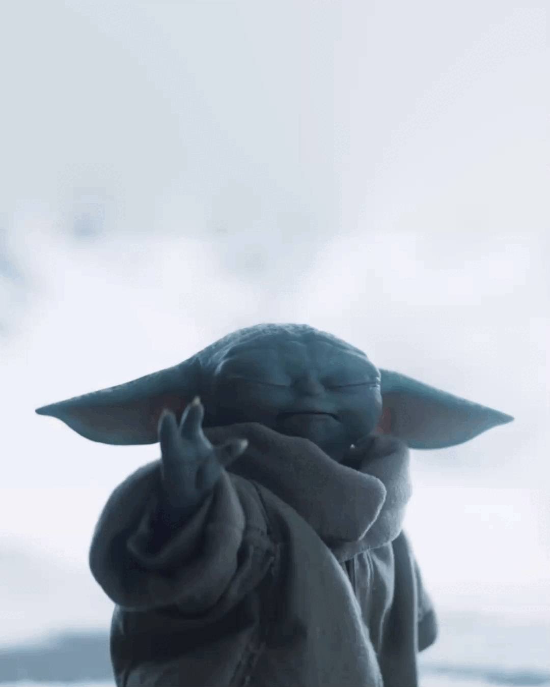 kMuFzC.gif