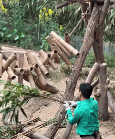 kPCzCw.gif