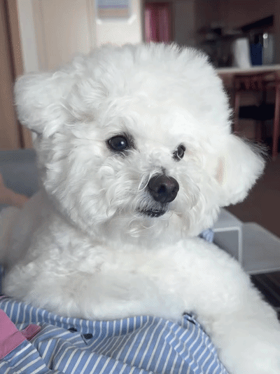 kPnSwY.gif