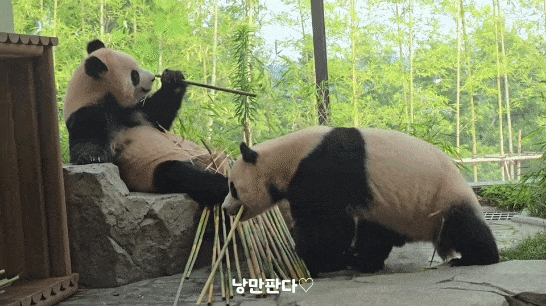 kSBYnY.gif