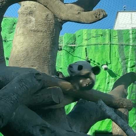 kTXfFN.gif