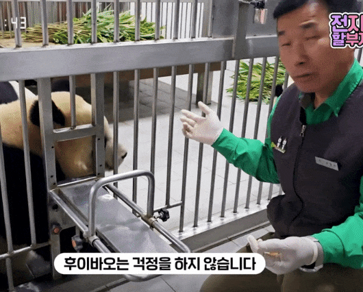 kWcjvV.gif