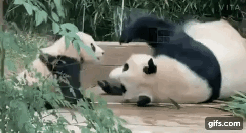 kaJNIy.gif