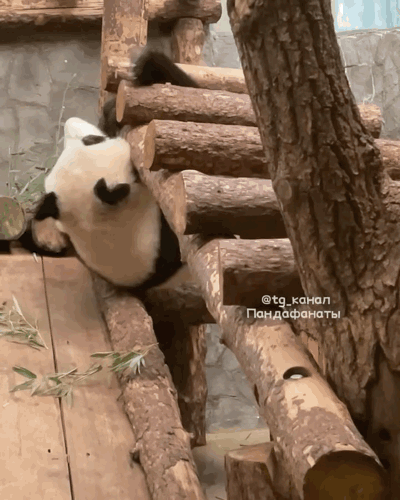 kgvzRV.gif