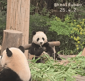 kmpppB.gif