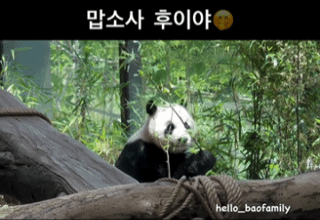 kpboih.gif