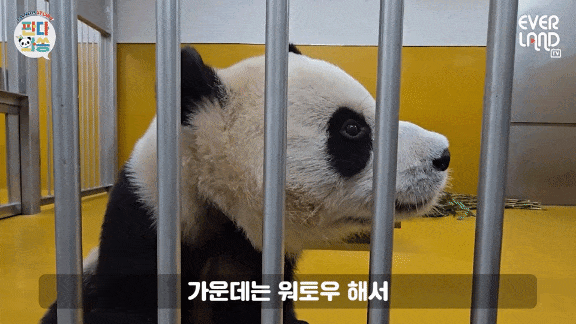 kszrNU.gif