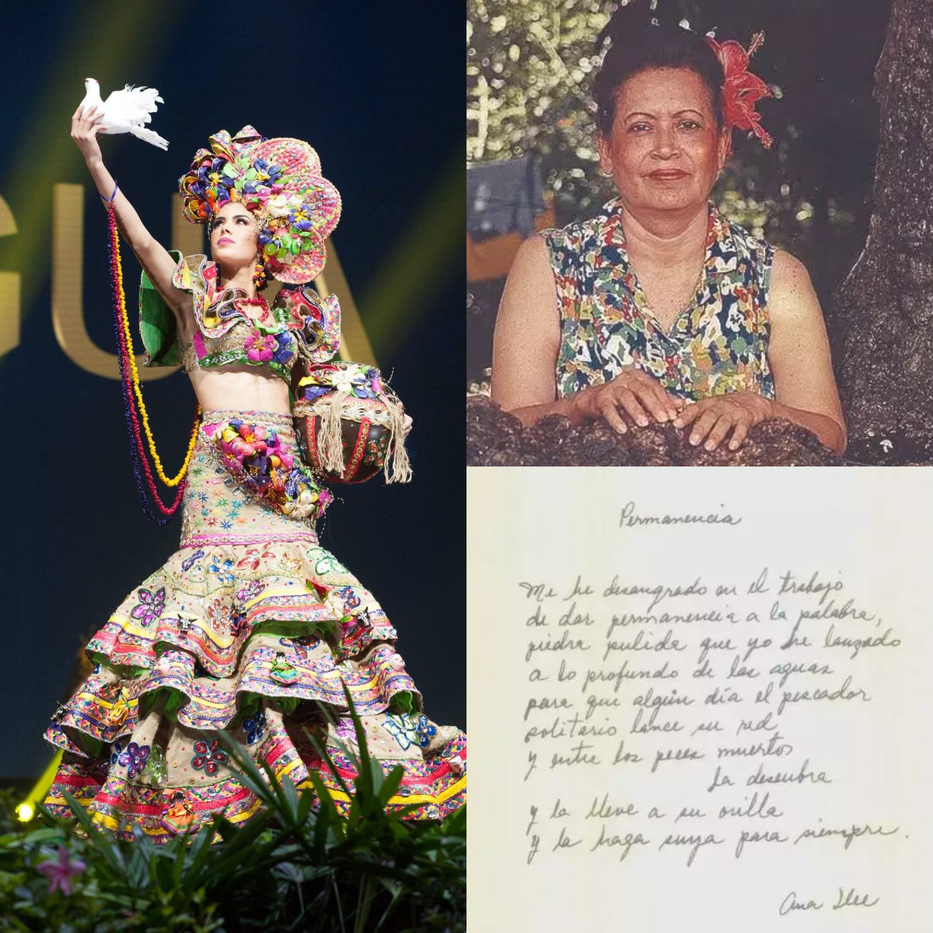 더쿠 - 미인대회에서 국가의상(National Costume)과 모티브들.jpg (초스압)