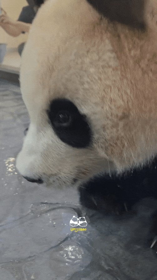 kwaIjy.gif