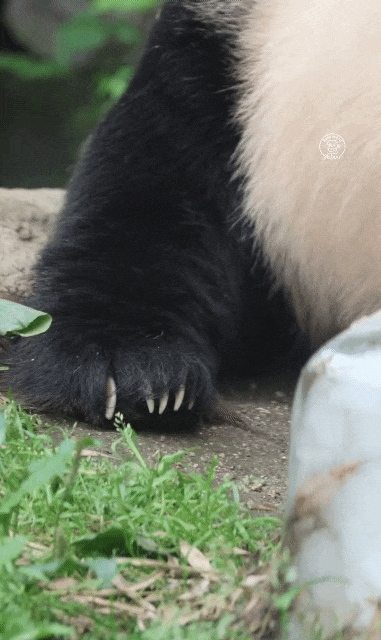 kxUgsK.gif