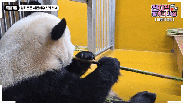 kzXodR.gif