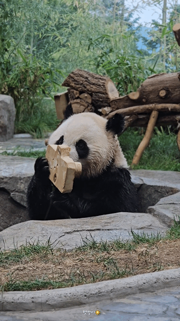 lBKvTq.gif