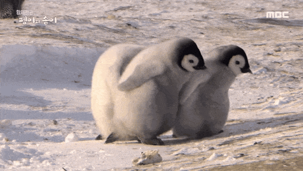 lDNBLK.gif