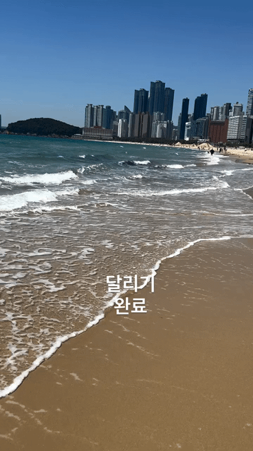 lGrysa.gif