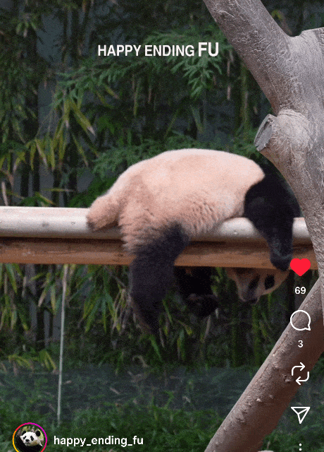 lUBcIt.gif