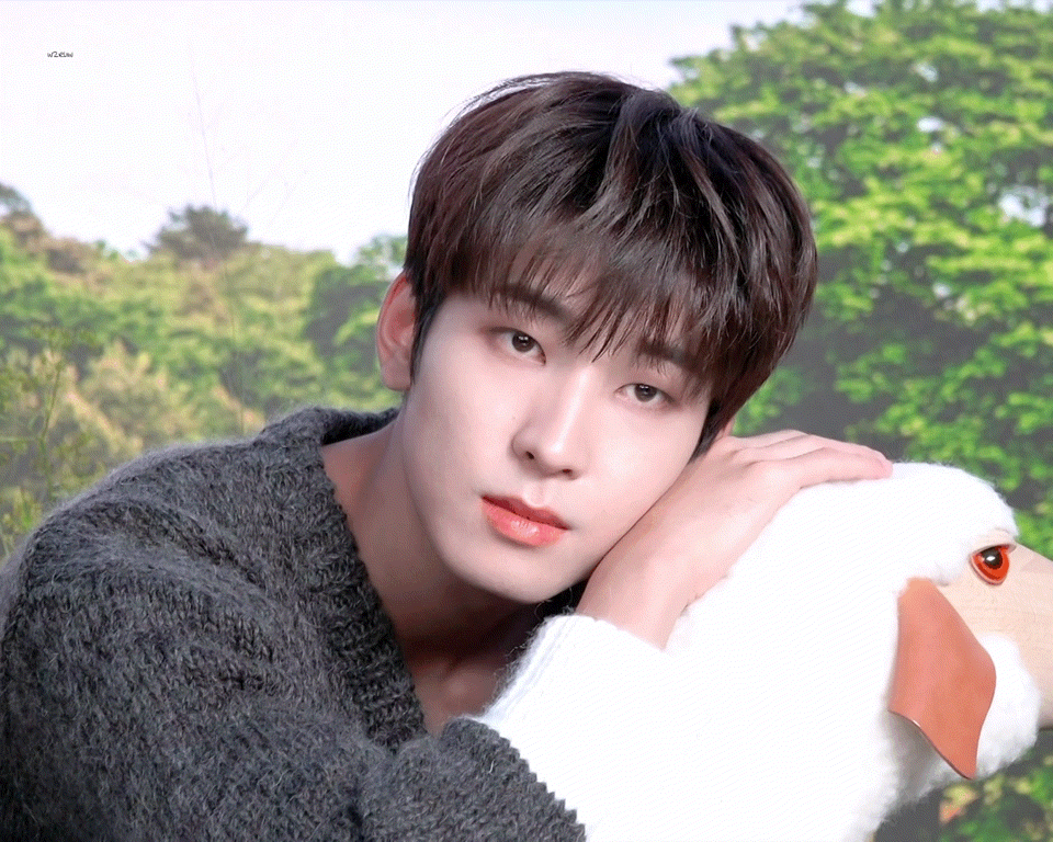 laPJkc.gif
